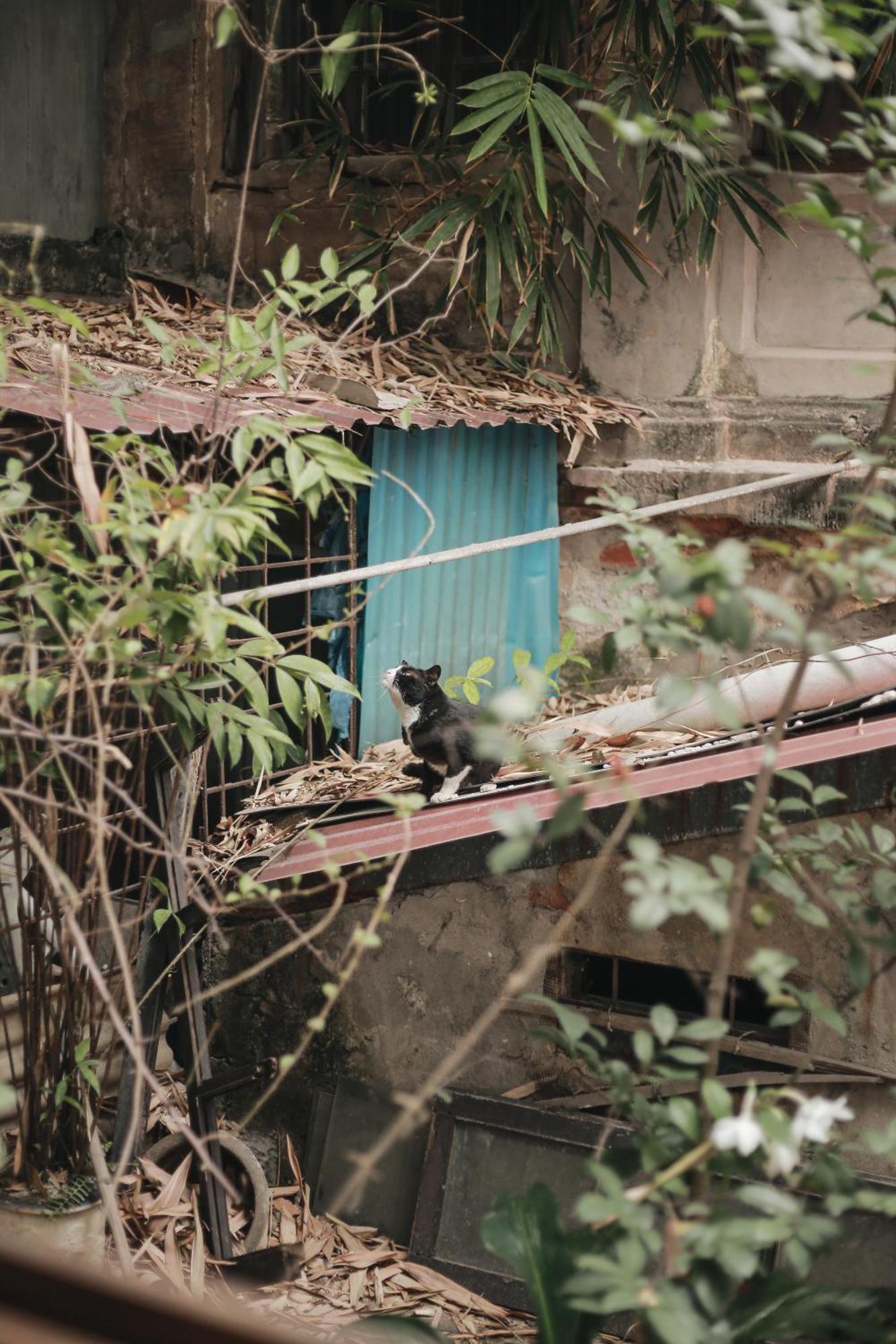 Hidden Gem Homestay 2 Hanoi Eksteriør billede
