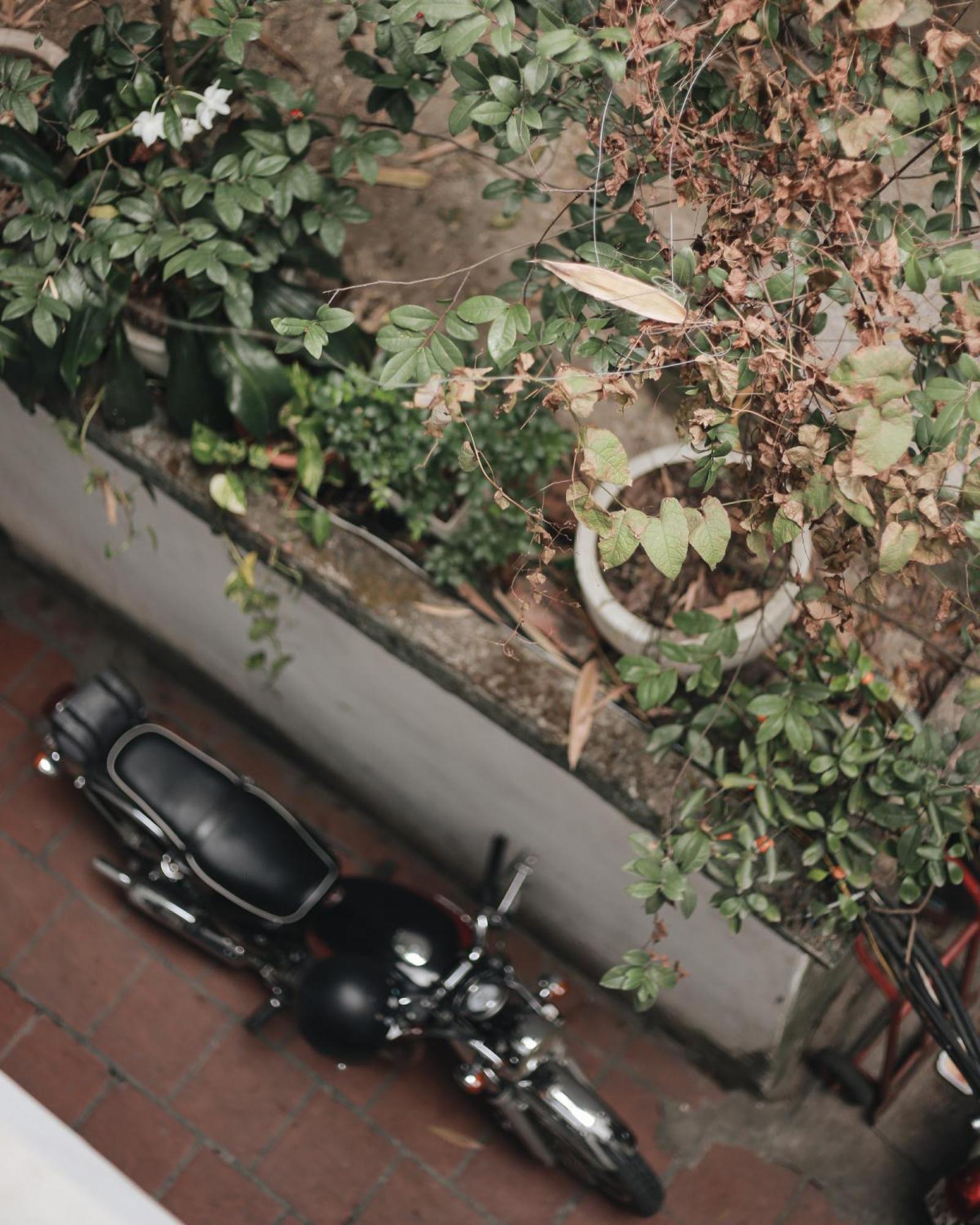Hidden Gem Homestay 2 Hanoi Eksteriør billede