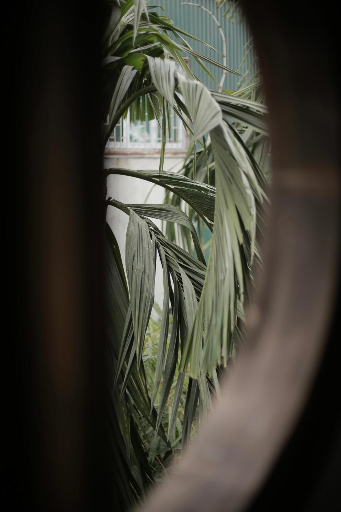 Hidden Gem Homestay 2 Hanoi Eksteriør billede